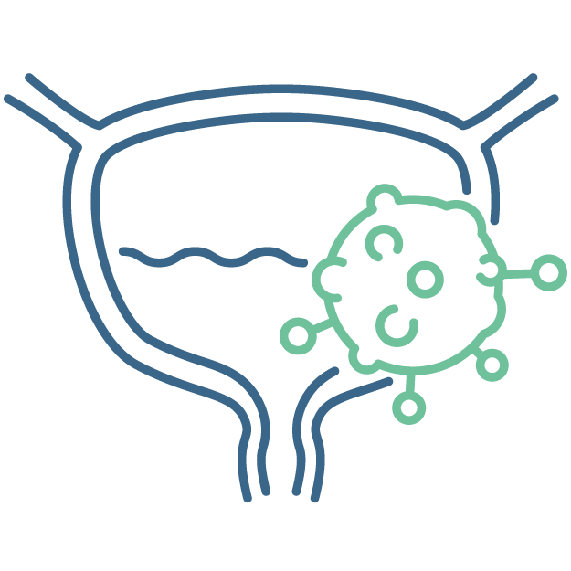 Bladder Cancer Icon